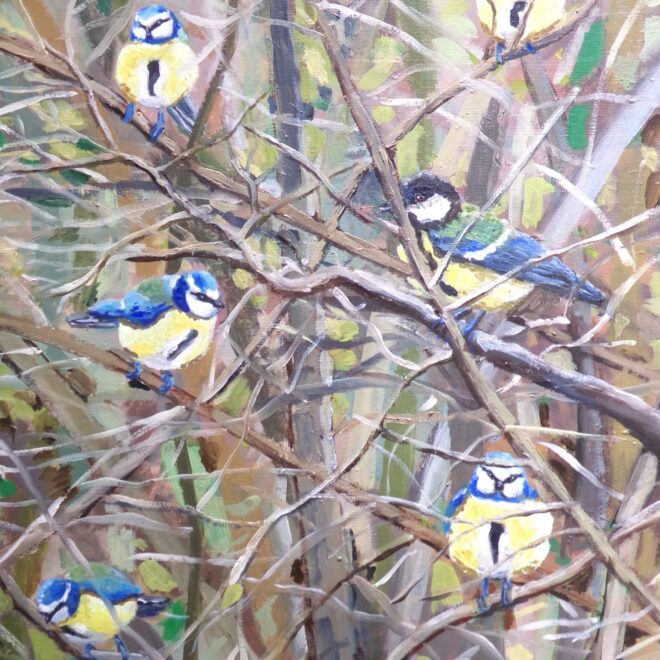 Blue Tits and Great Tit in Early Spring Branches (Emily Fowke)