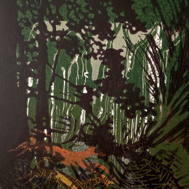 Escaping the Forest (Sue Hartga)