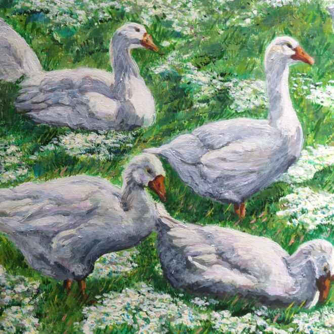 Geese with daisies (Emily Fowke)
