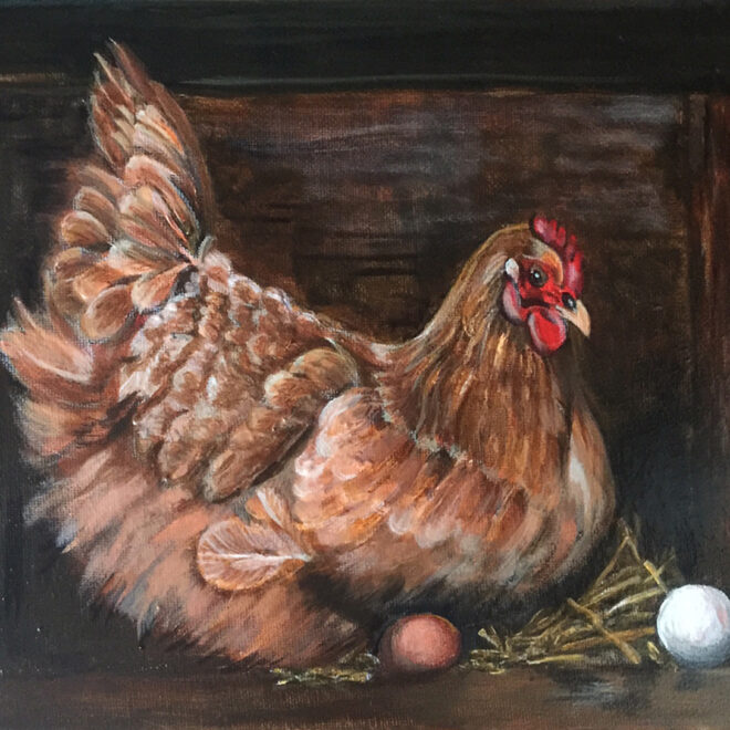 Hen with eggs (Svetlana Baibekova)