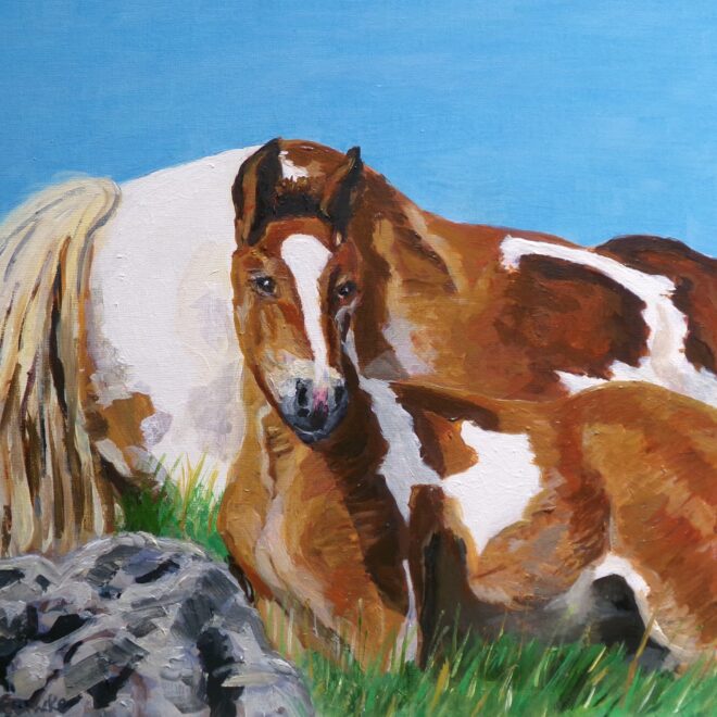 Picos Mounatins Foal and Mare (Emily Fowke)