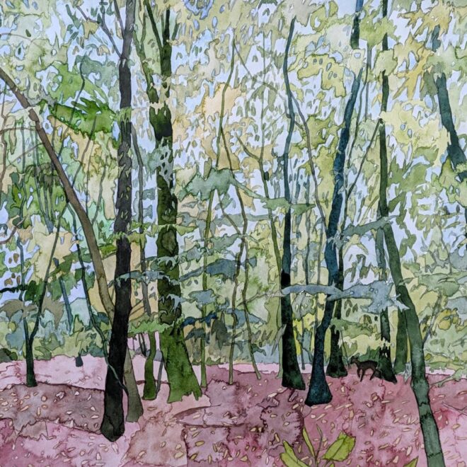 Thornfield forest, Chappel (Katy Ellis)