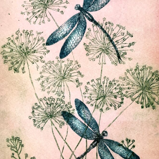 Tombo And Allium (Sherry Rea)