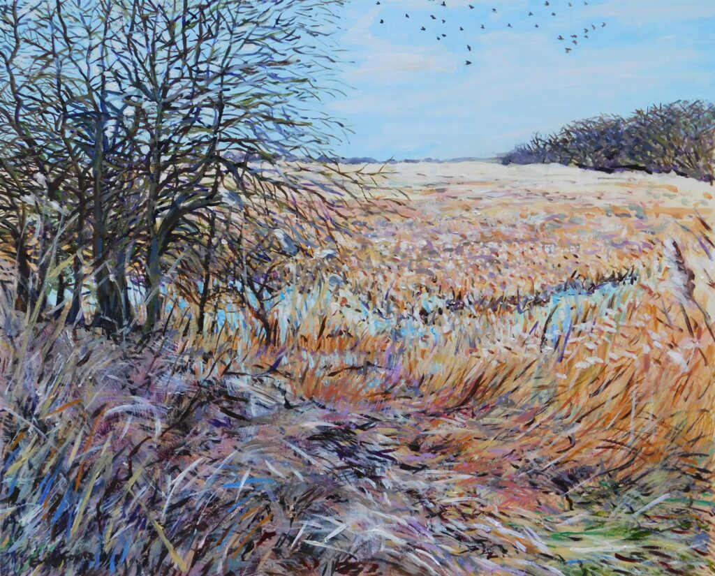 View of Little Wilbraham Fen, Cambridge (Emily Fowke)