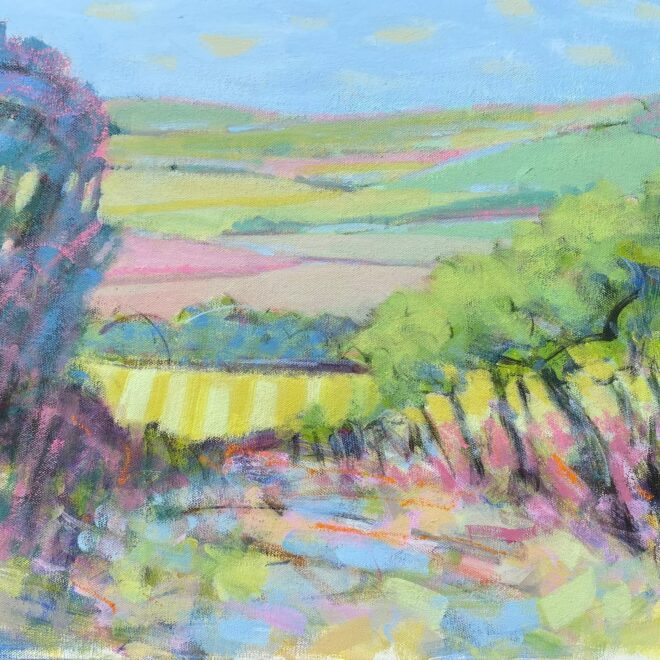 Vineyard Vista (Chrissie Havers)